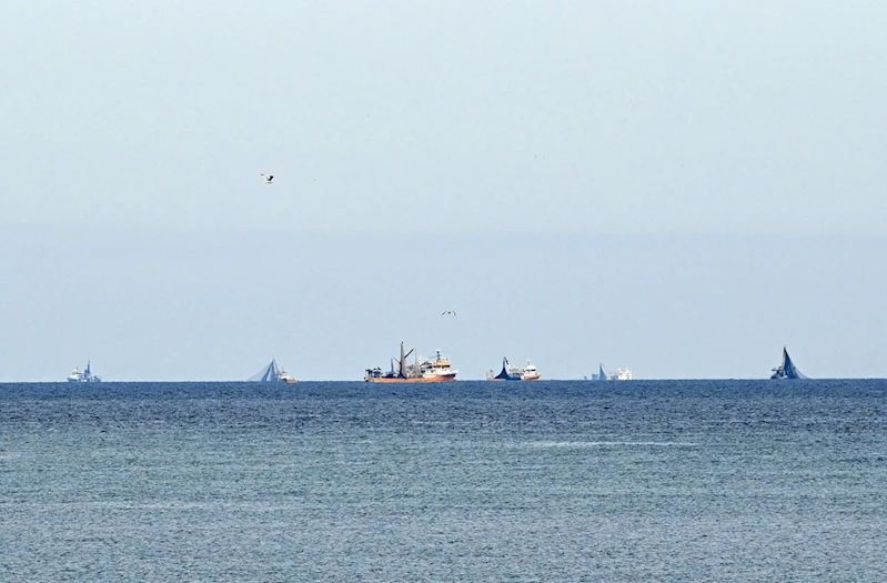 Balıkçılar palamut avı için rotayı Doğu Karadeniz