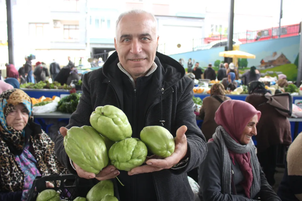 ŞİFA DEPOSU ‘KIBRIS KABAĞI’