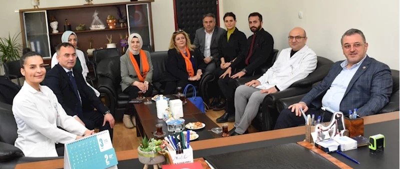 Milletvekili Çilez