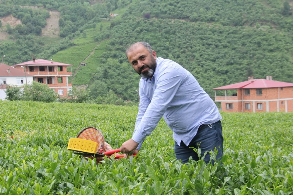 2024 YILI YAŞ ÇAY FİYATI OLUMLU BULUNDU