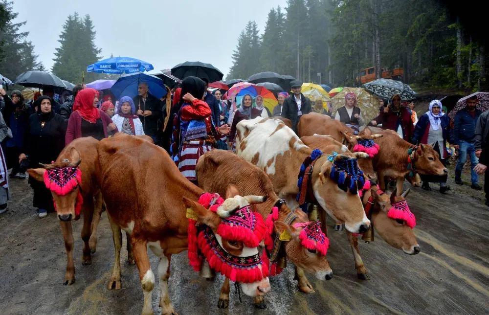 YAYLA GÖÇÜ FESTİVALİ 14 TEMMUZ’DA