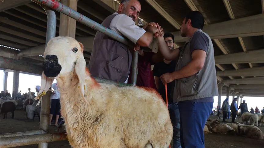 ORTAHİSAR’DA KURBAN KESİM KURSUNA KAYITLAR SÜRÜYOR