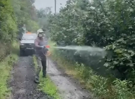 DARICA’DA KAHVERENGİ KOKARCA İLE MÜCADELEDE İLAÇLAMA UYGULAMASI