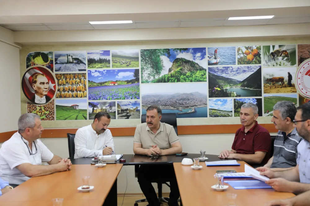 TRABZON’DA 2024 YILI FINDIK REKOLTESİ BELİRLENDİ