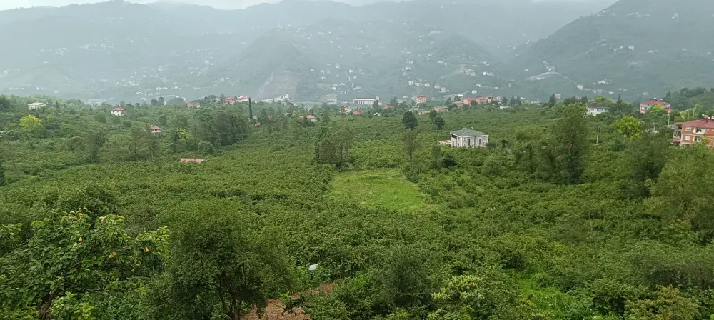 DÜZYURT VE GÖLÇAYIR BÖLGELERİ DEĞERLENDİRİLMELİ