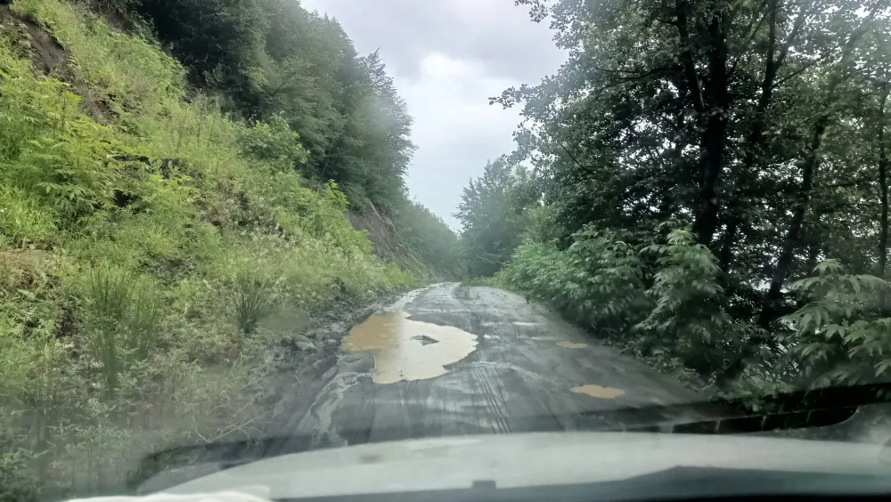 KALEÖNÜ MUHTARINDAN KARAORMAN YOLU İSYANI