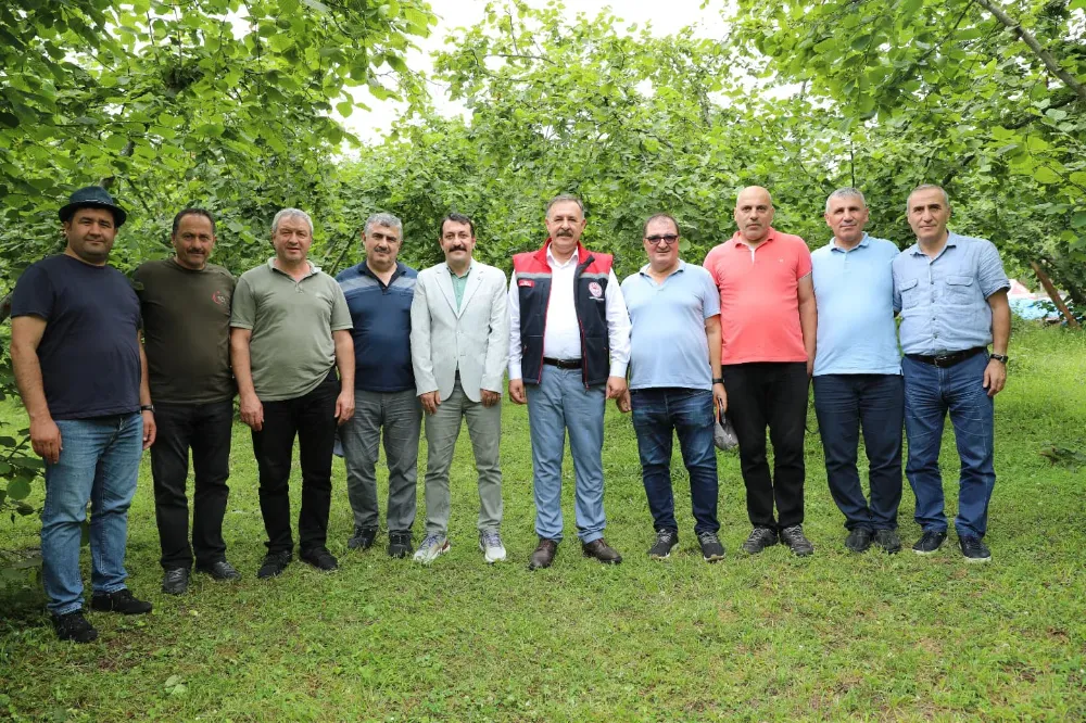 TRABZON İL TARIM MÜDÜRÜ İSA KAPLAN, FINDIK REKOLTE ÇALIŞMALARINI DENETLEDİ