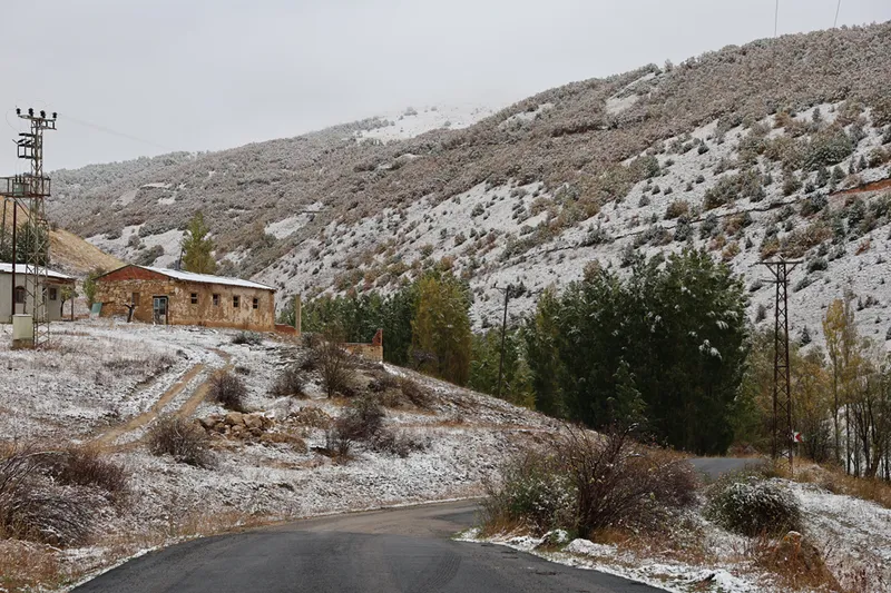 Bayburt, Rize ve Gümüşhane