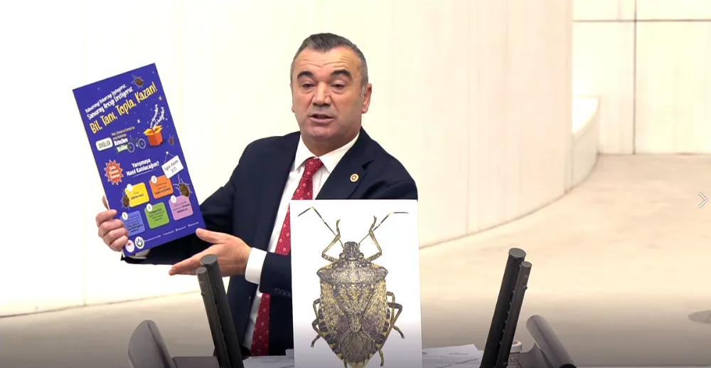 KAHVERENGİ KOKARCA TEPKİSİ