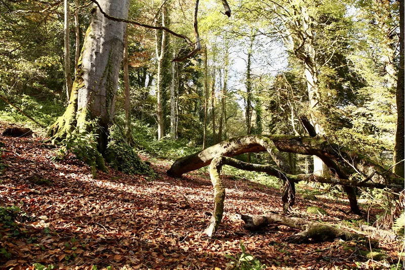 Doğal güzellikleriyle ünlü Giresun