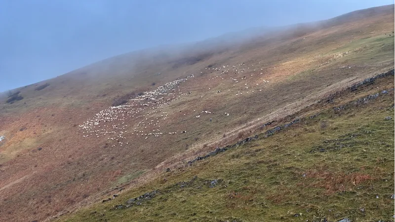 Zirvedeki Saveriksa Yaylası