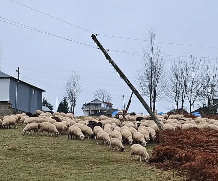 HIDIRNEBİ YAYLASI’NDA TEHLİKE ÇANLARI