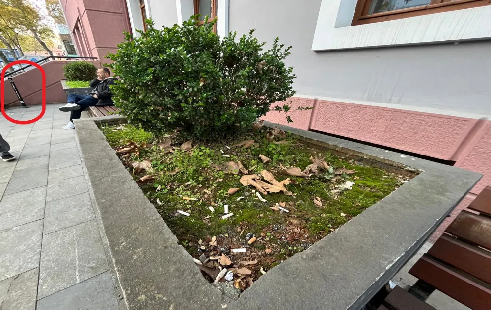 ÇİÇEKLİKLER KÜLLÜK HALİNE GELDİ