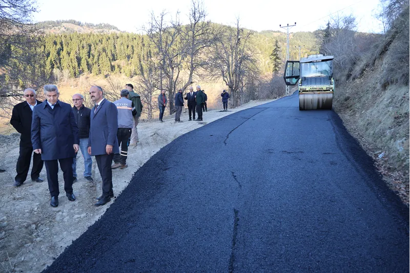 Artvin Valisi Ergün, Ardanuç