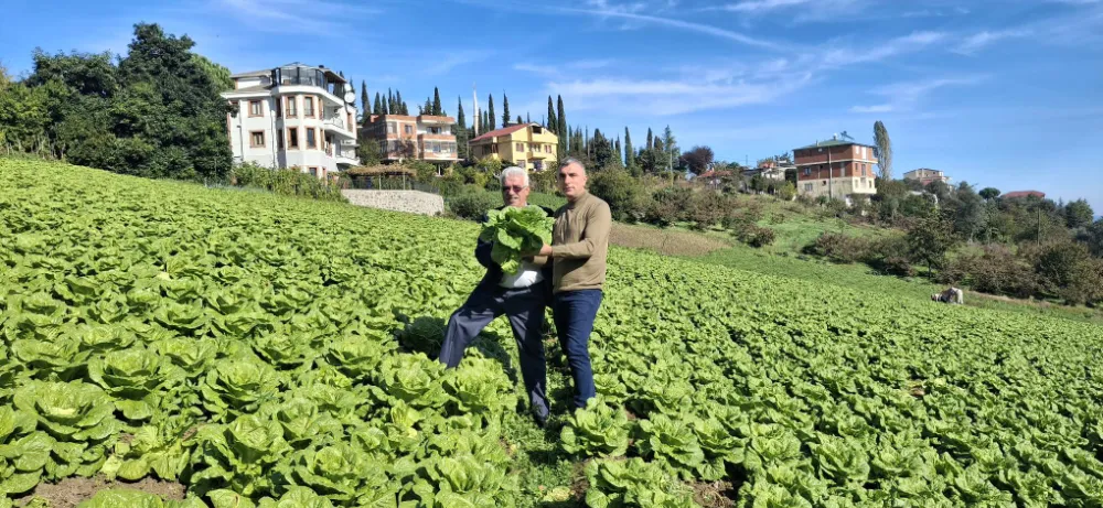 TARIMSAL KALİTE İÇİN SAHA MESAİSİ