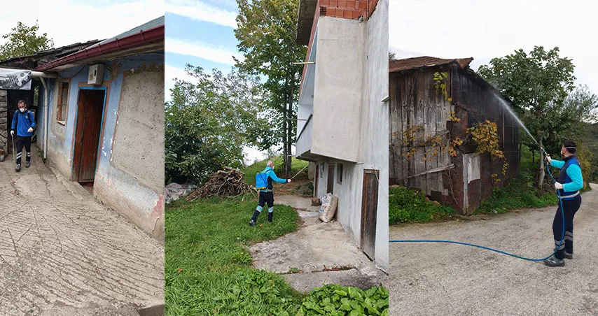 KOKARCA MÜCADELESİ SÜRÜYOR