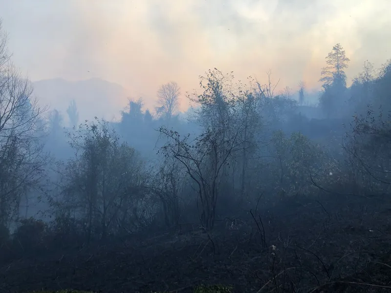 GÜNCELLEME - Artvin