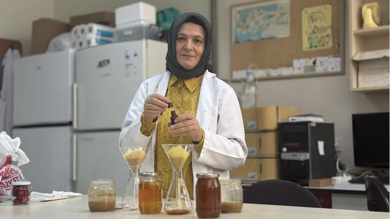 Arı ürünleri araştırmaları 