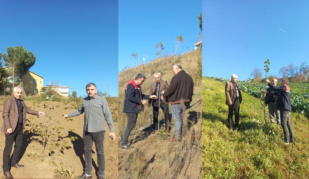 MEYVE ÜRETİMİNE TEKNİK DOKUNUŞ