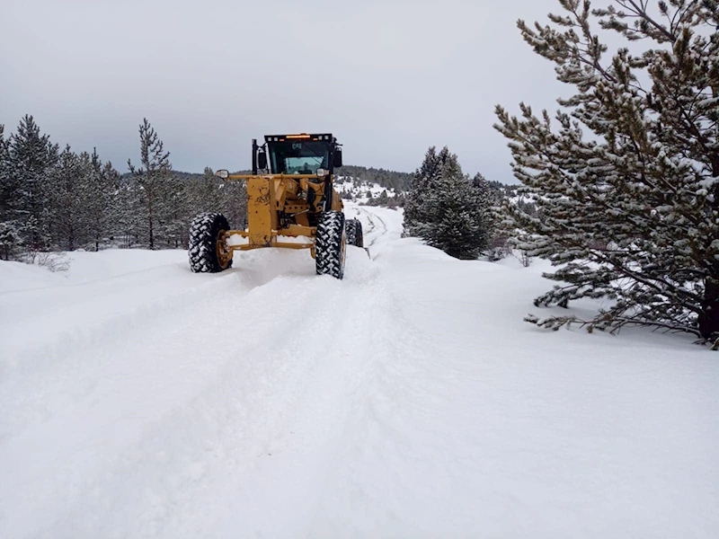 Doğu Karadeniz'de kar yağışı etkili oldu