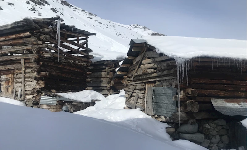 Kaçkar Dağları'nın eteklerindeki Yaylalar köyü, doğal pistleriyle kayakçıların gözdesi oldu