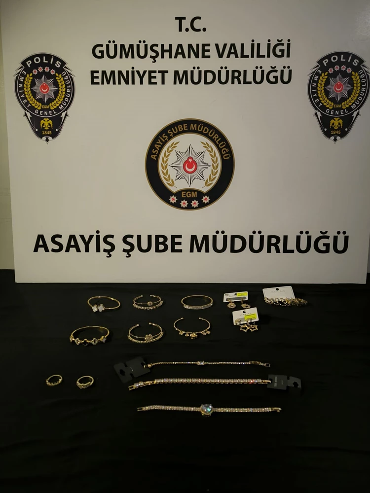 Gümüşhane'de hırsızlık yaptığı belirlenen şüpheli gözaltına alındı