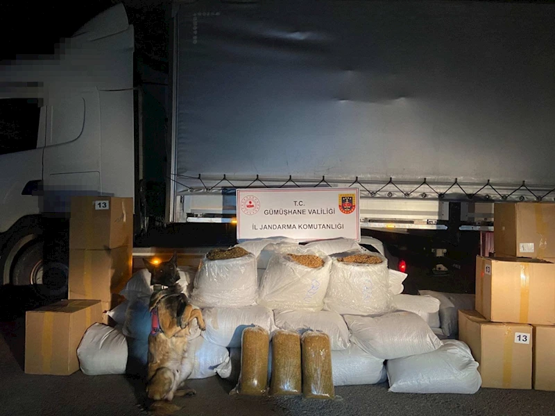 Gümüşhane'de 644 kilogram kaçak tütün ele geçirildi
