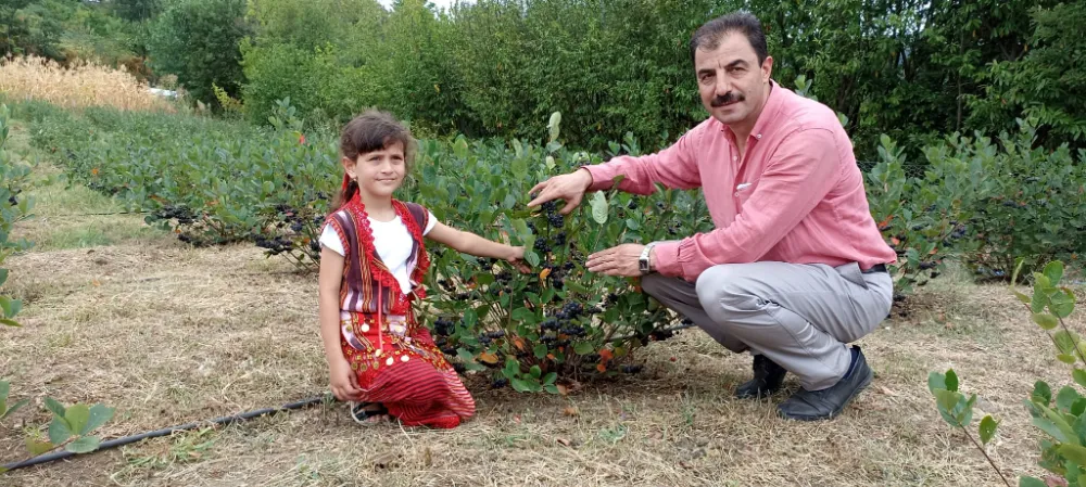 ARONYA ÜRETİCİLERİNE GÜBRELEME UYARISI