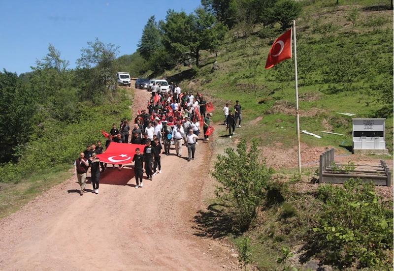 Güce