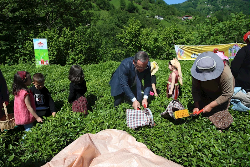 Artvin