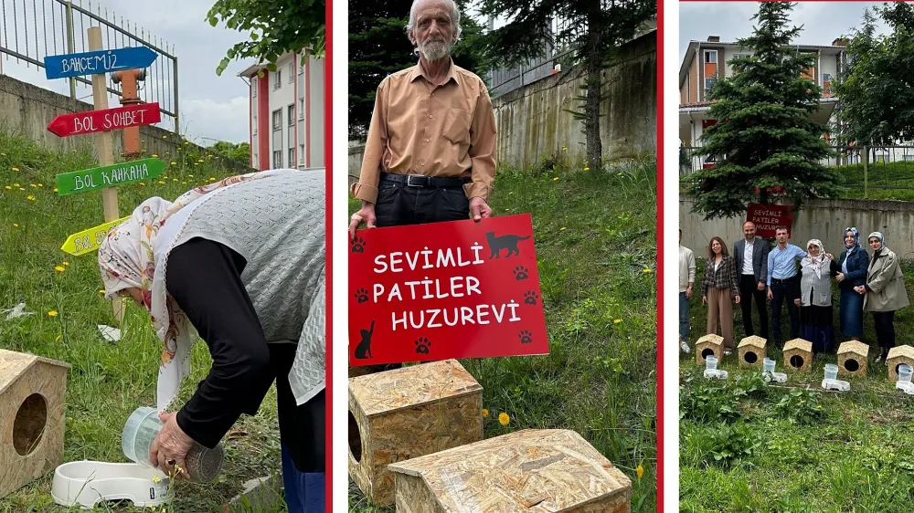 YAŞLILARA MORAL, SOKAK HAYVANLARINA YUVA