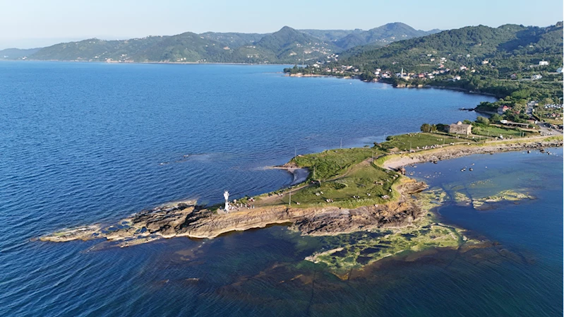 Ordu