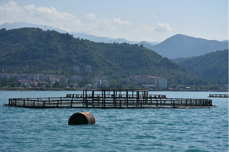 Karadeniz