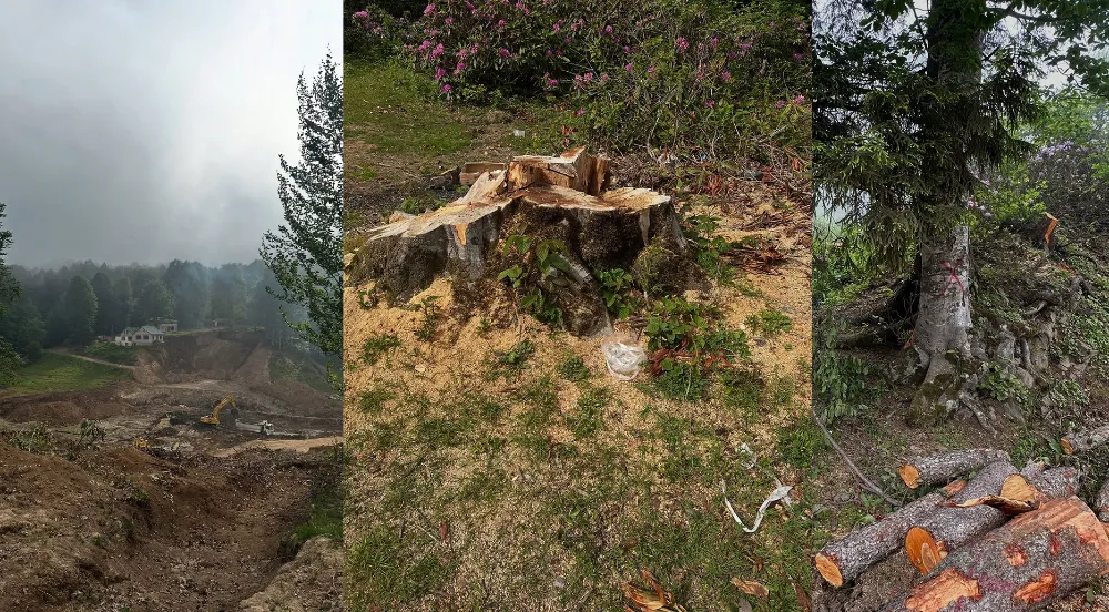 GÖLET PROJESİ Mİ, DOĞA KATLİAMI MI?