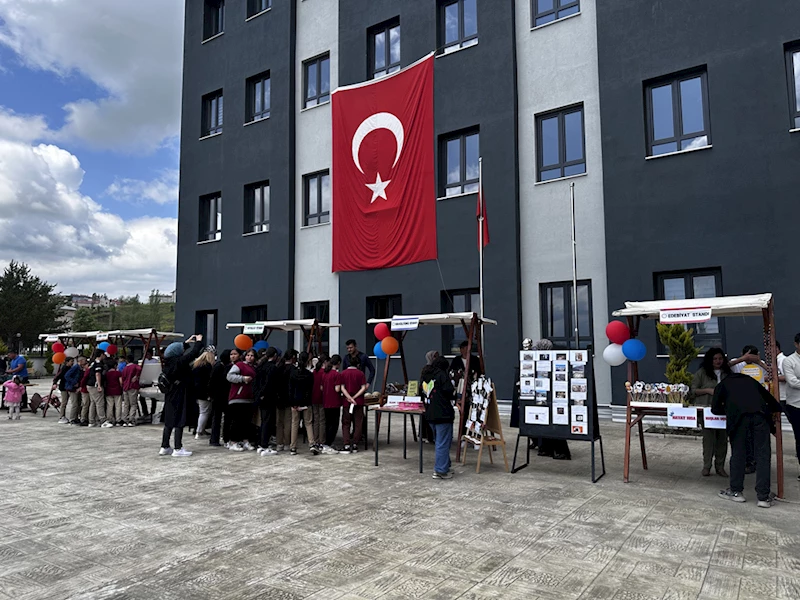 Şebinkarahisar