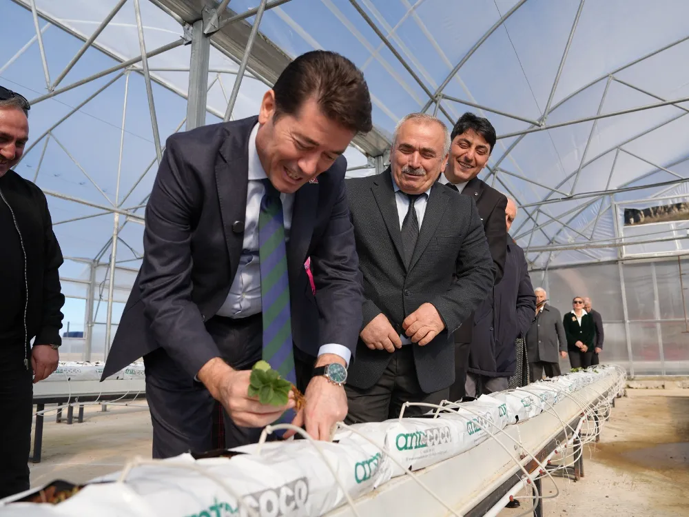 ORTAHİSAR