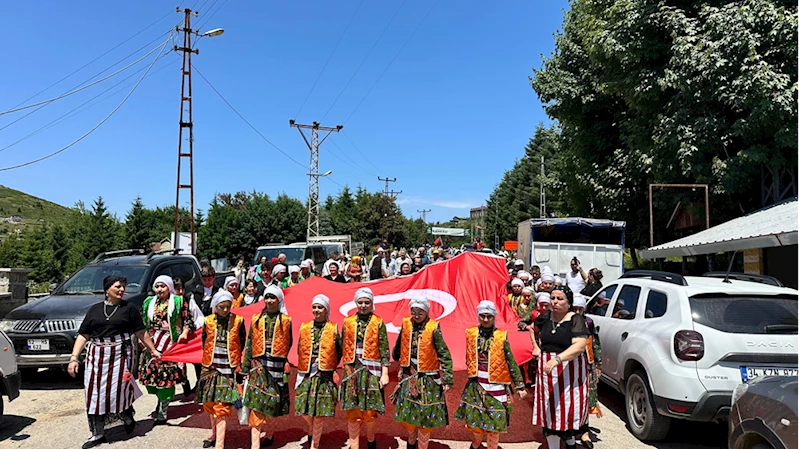 Ordu