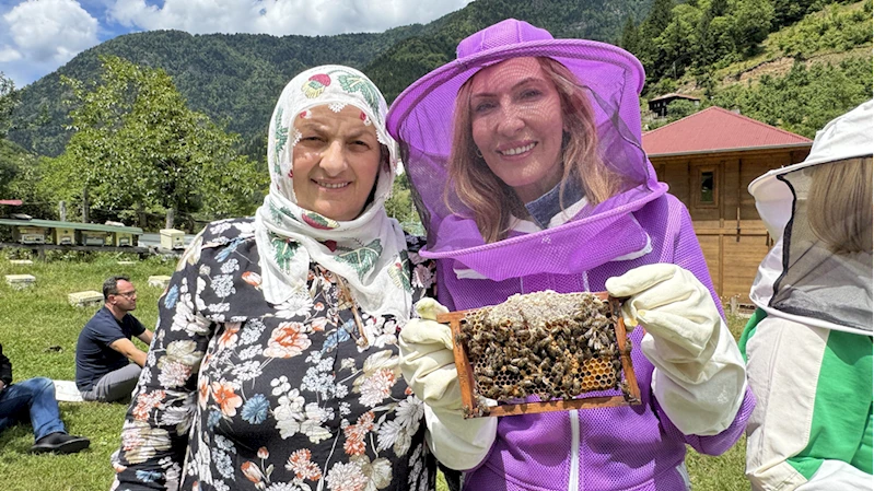 Artvin