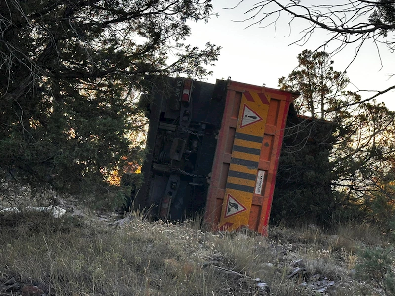 Giresun'da şarampole devrilen asfalt yüklü kamyonun sürücüsü yaralandı