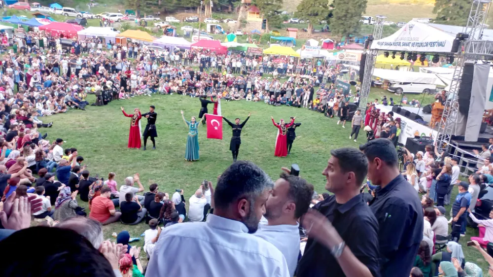 ŞAVŞAT