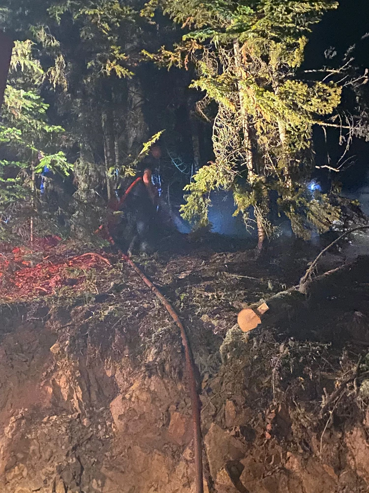 Gümüşhane'de ormanlık alanda çıkan yangın söndürüldü