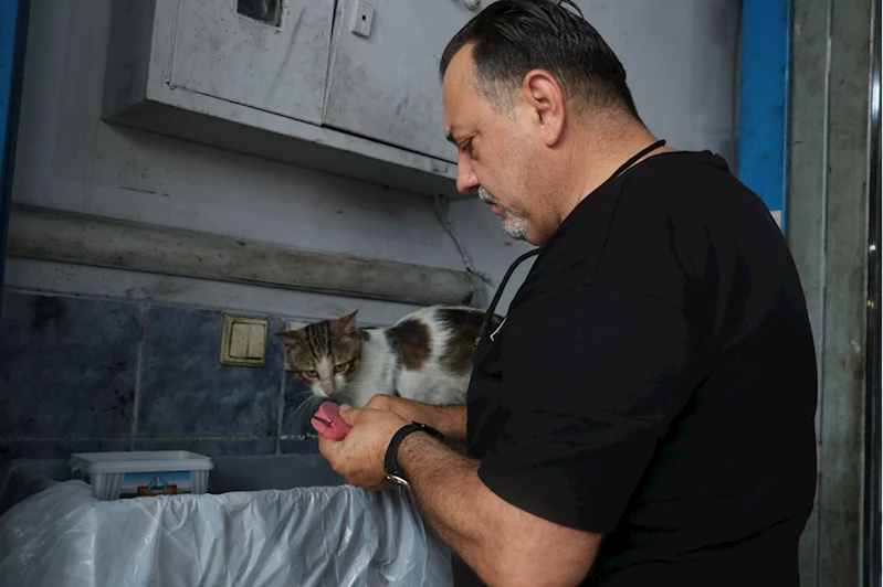 Motor ustasının "Psikopat" kedisi sanayinin maskotu oldu