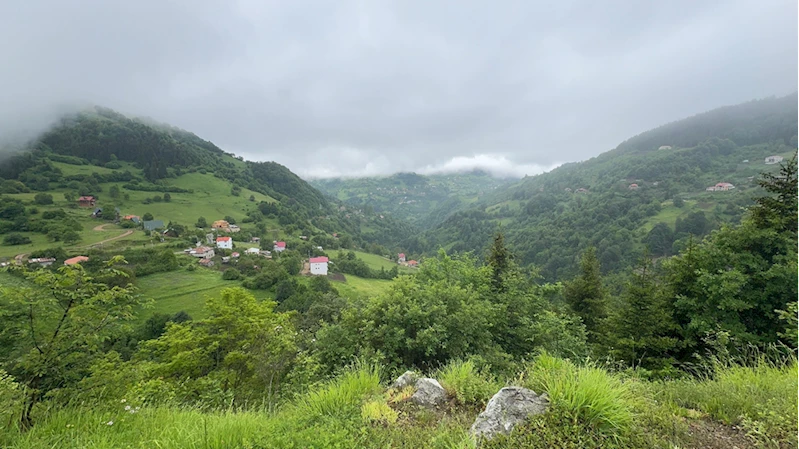 Giresun