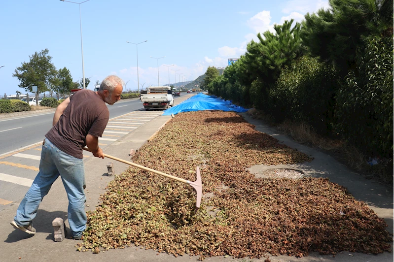 Karadeniz Sahil Yolu
