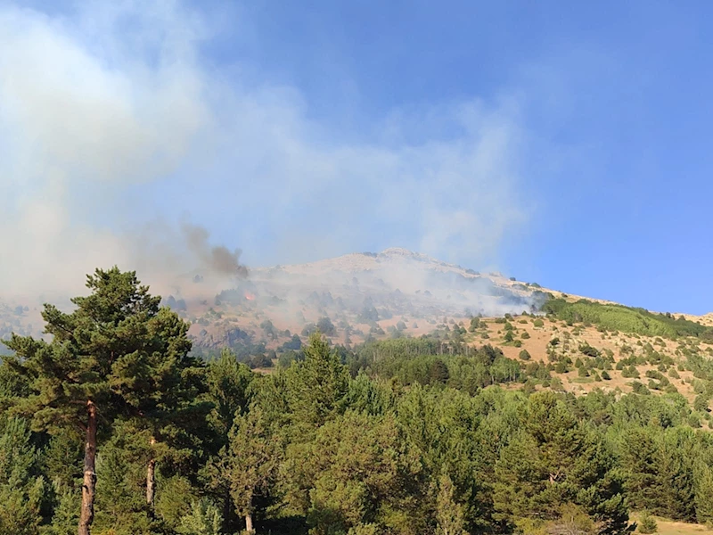 Gümüşhane'de dağlık alanda çıkan örtü yangını kontrol altına alındı 