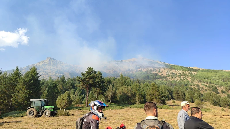 Gümüşhane'de dağlık alanda çıkan örtü yangını kontrol altına alındı 
