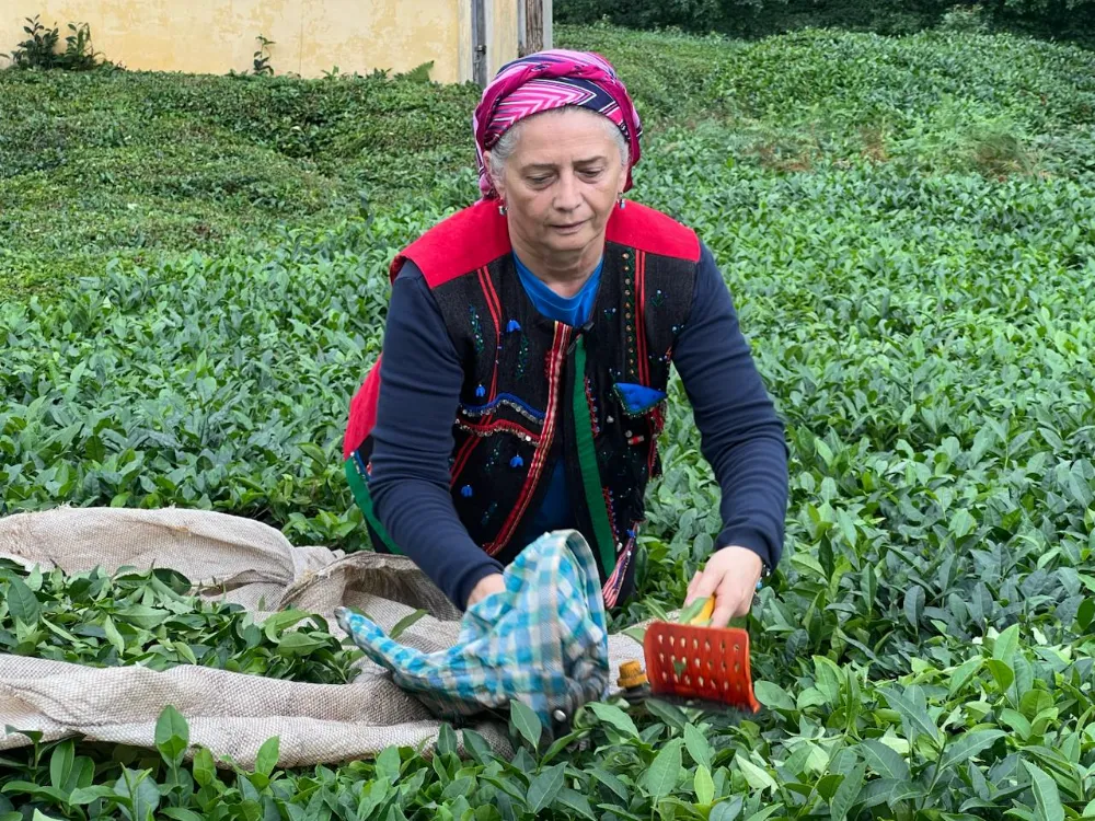 SUİÇMEZ, ÇAYLIĞA İNDİ, ÜRETİCİNİN SES OLDU