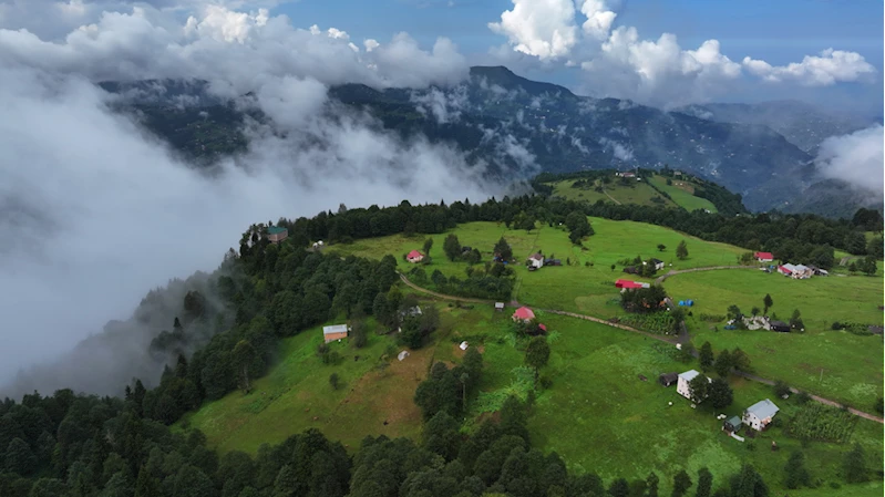 Trabzon