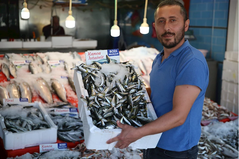 Karadenizli balıkçıların tezgahlarında yeni sezonda en çok istavrit yer alıyor