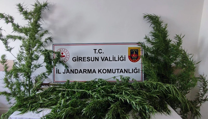 Giresun